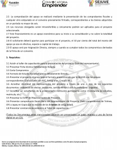 CONVOCATORIA EMPRENDER  ESCOLAR 2014-2